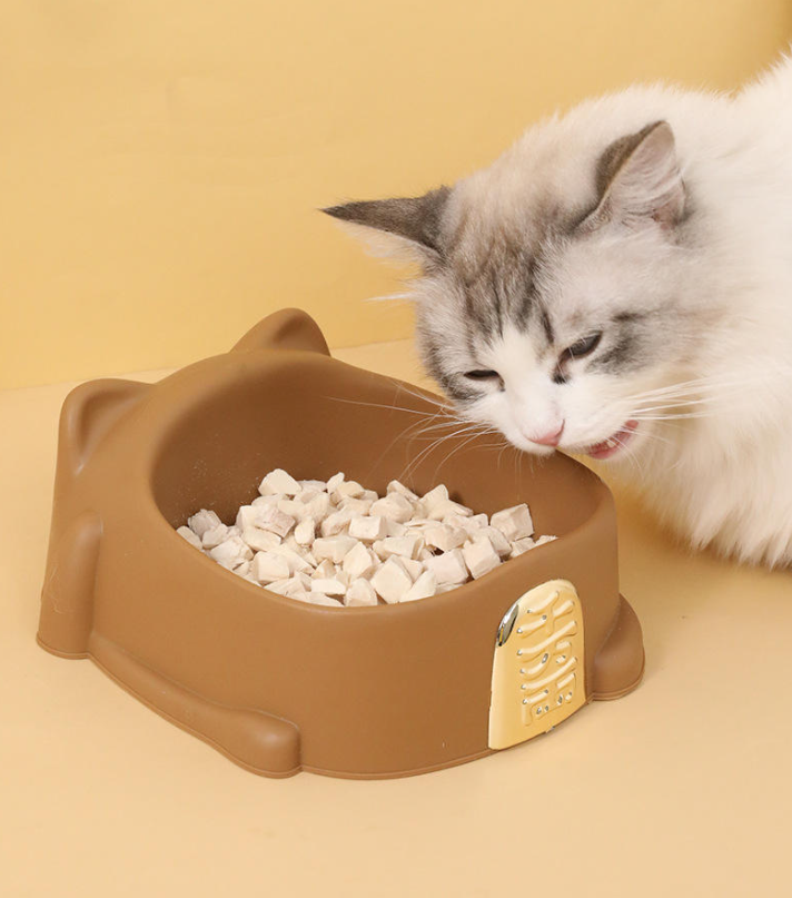 Cartoon "Excellence" Cat & Dog Food Bowl — Vividly Colored Pet Feeding Bowl