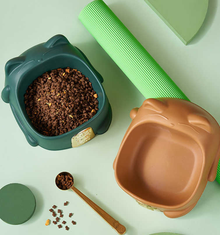 Cartoon "Excellence" Cat & Dog Food Bowl — Vividly Colored Pet Feeding Bowl