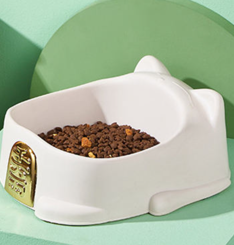 Cartoon "Excellence" Cat & Dog Food Bowl — Vividly Colored Pet Feeding Bowl
