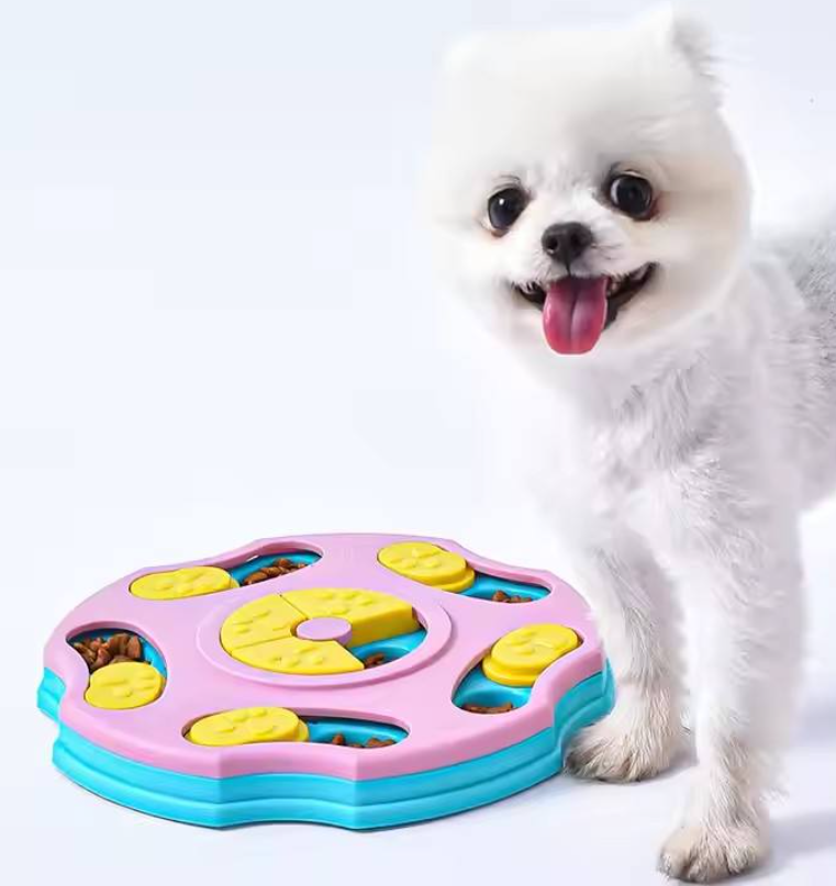 Eat Slow, Play Fast | Puzzle Feeder | Pet Slow Feeder Bowl