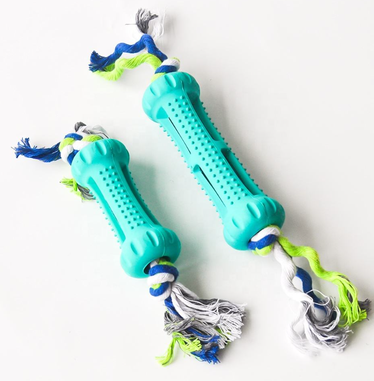 Chew for Health | Durable Teething Toy | Squeaky Dog Toy