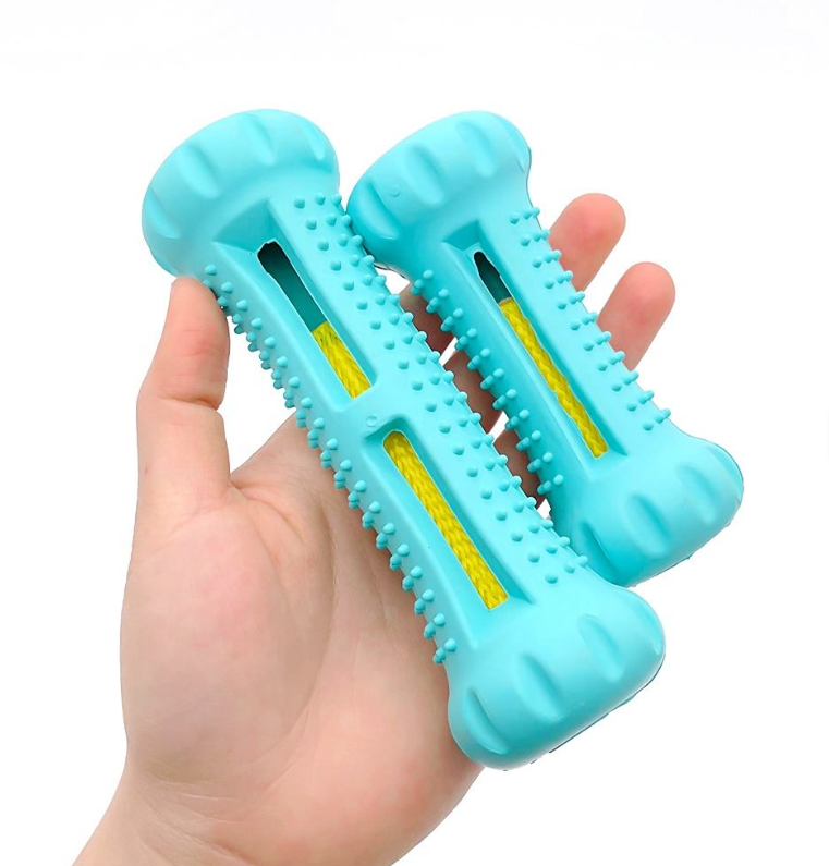 Chew for Health | Durable Teething Toy | Squeaky Dog Toy