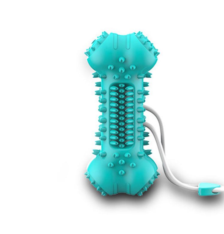 Chew for Health | Durable Teething Toy | Squeaky Dog Toy