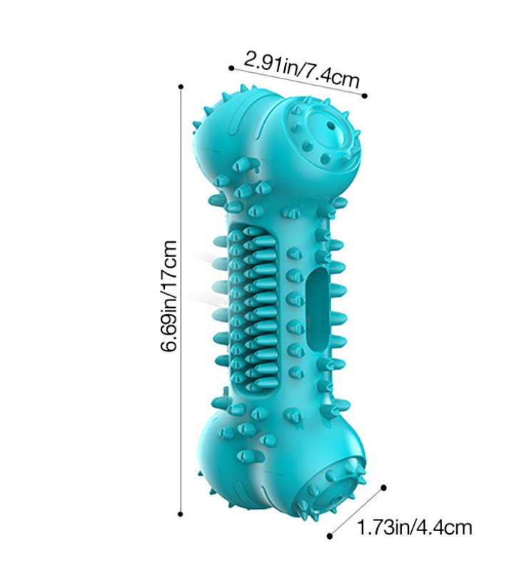 Chew for Health | Durable Teething Toy | Squeaky Dog Toy