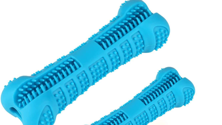 Chew for Health | Durable Teething Toy | Squeaky Dog Toy