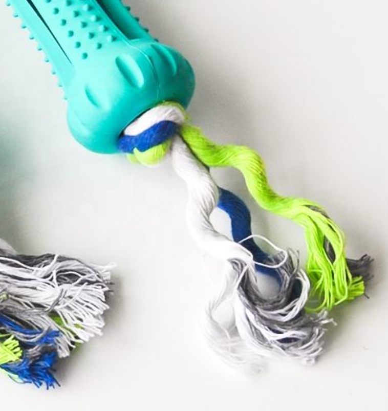 Chew for Health | Durable Teething Toy | Squeaky Dog Toy