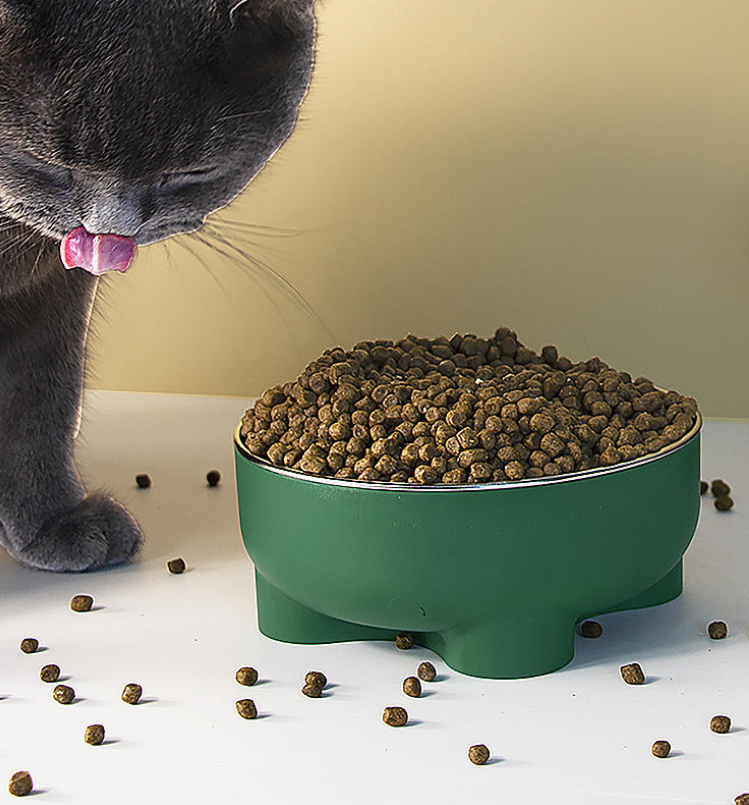 Colorful Stainless Steel | Double-Layer, Hygienic Stainless Steel Pet Bowl